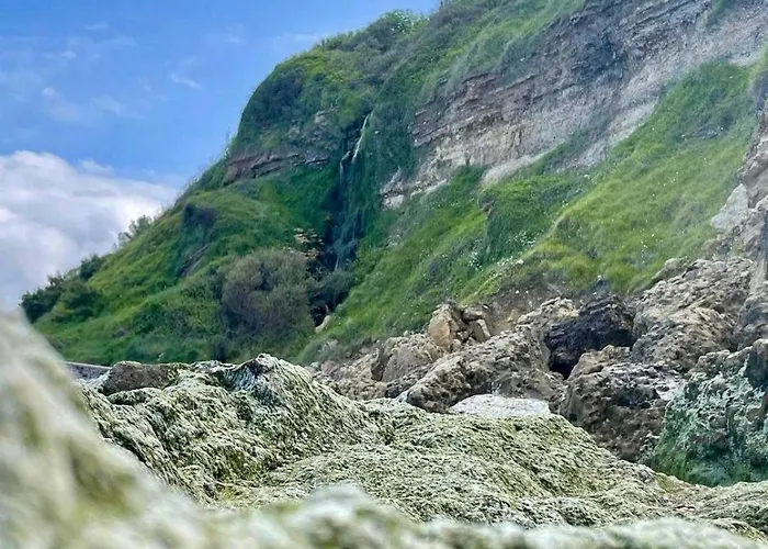 Exceptional 5 Bedroom House Near The *