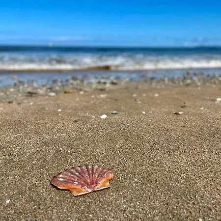 別荘 Exceptional 5 Bedroom House Near The