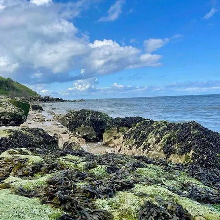 Exceptional 5 Bedroom House Near The * トルヴィル＝シュル＝メール