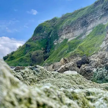 Exceptional 5 Bedroom House Near The *