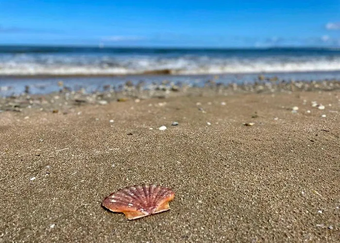 Vakantiehuis Exceptional 5 Bedroom House Near The