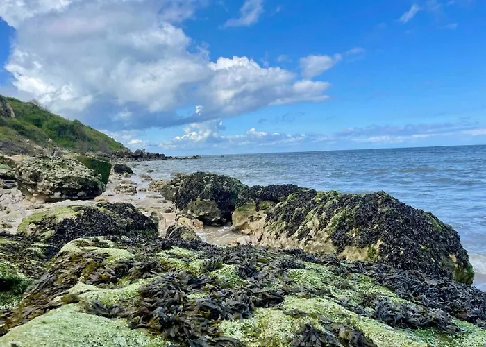 Exceptional 5 Bedroom House Near The * Trouville-sur-Mer